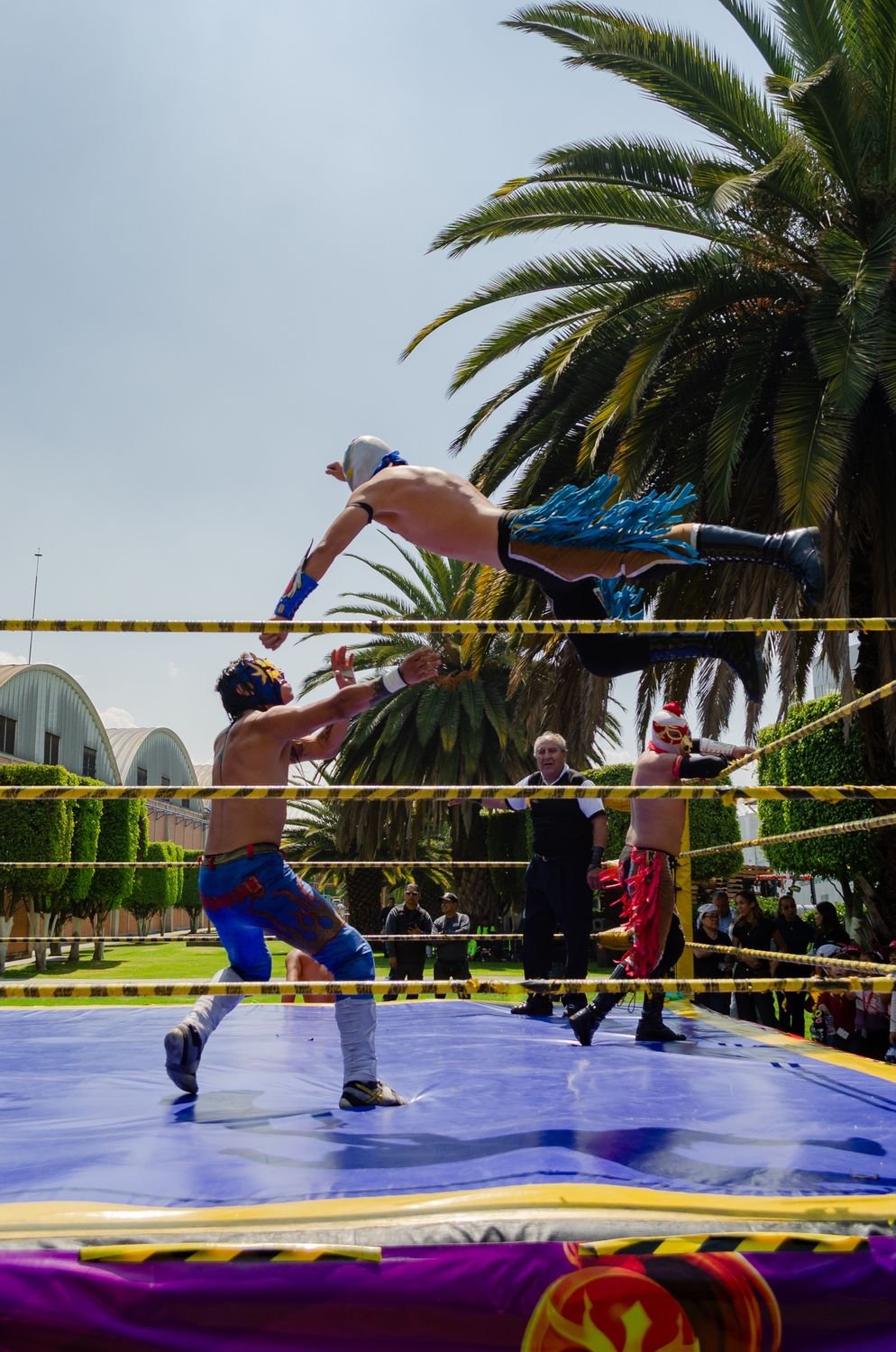 Luchador saltando sobre el ring al aire libre, con palmeras al fondo